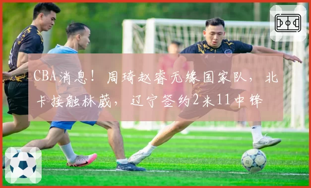 CBA消息！周琦赵睿无缘国家队，北卡接触林葳，辽宁签约2米11中锋