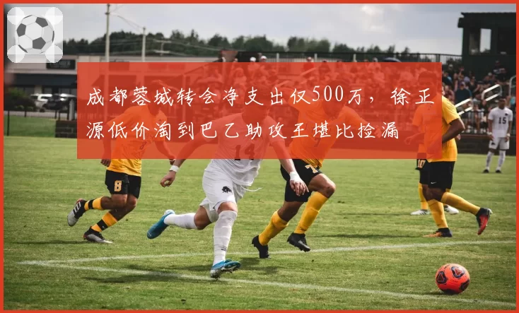 成都蓉城转会净支出仅500万,徐正源低价淘到巴乙助攻王堪比捡漏