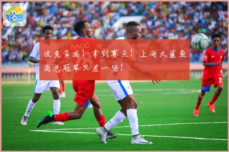 攻克黄龙！拿到赛点！上海大鲨鱼离总冠军只差一场！