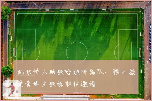 凯尔特人助教哈迪将离队，预计接受黄蜂主教练职位邀请